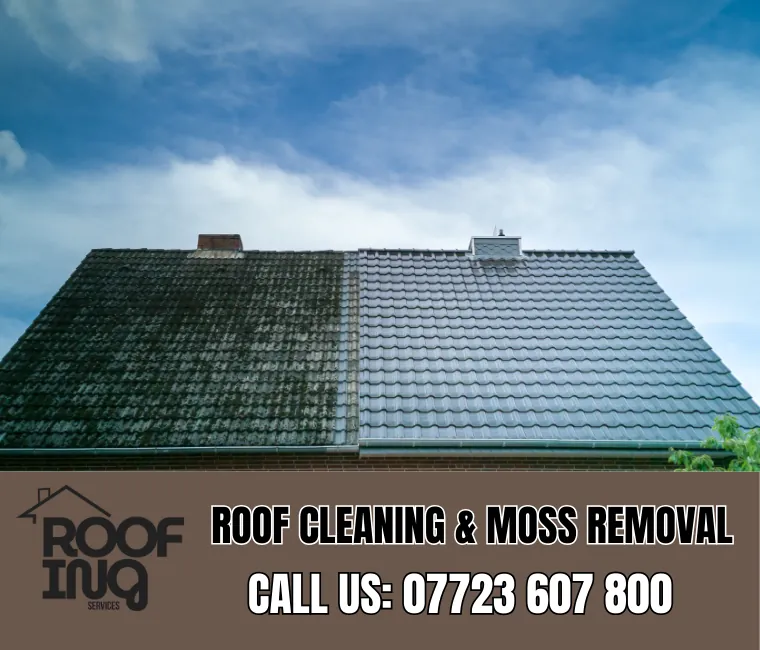 Roof cleaning and moss removal in Bodmin